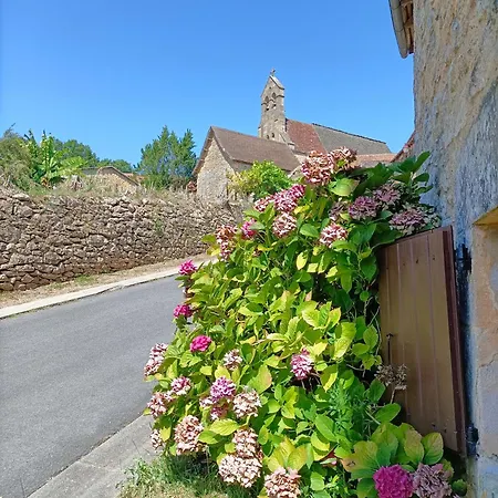 Maison Typique Avec Piscine Privee - 6km Sarlat Holiday home Saint-Andre-d'Allas
